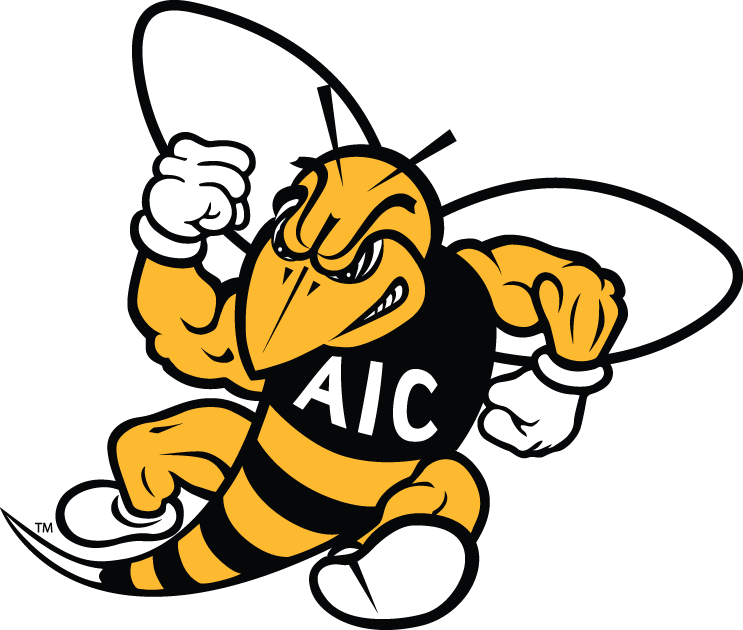 AIC Yellow Jackets 2009-Pres Secondary Logo t shirts iron on transfers
